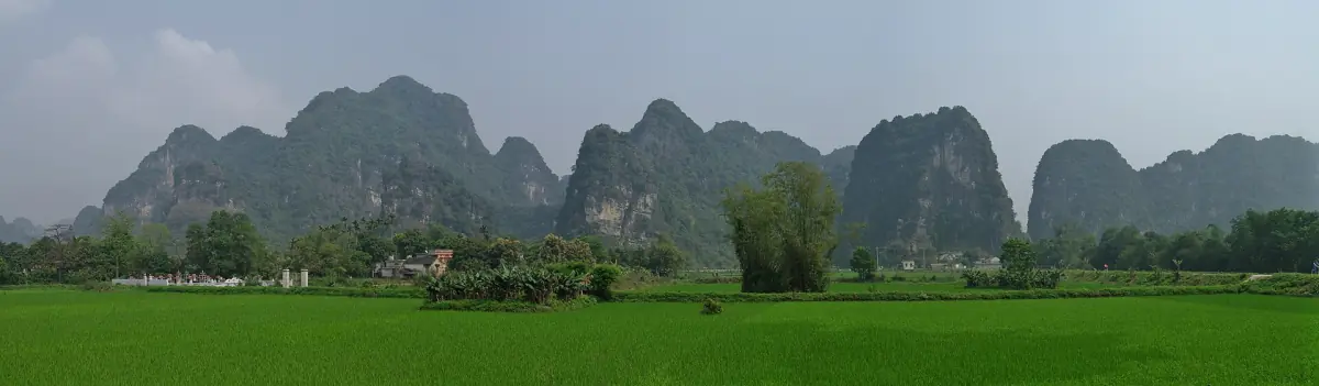 Wide panorama of green rice fields with limestone peaks on the horizon
